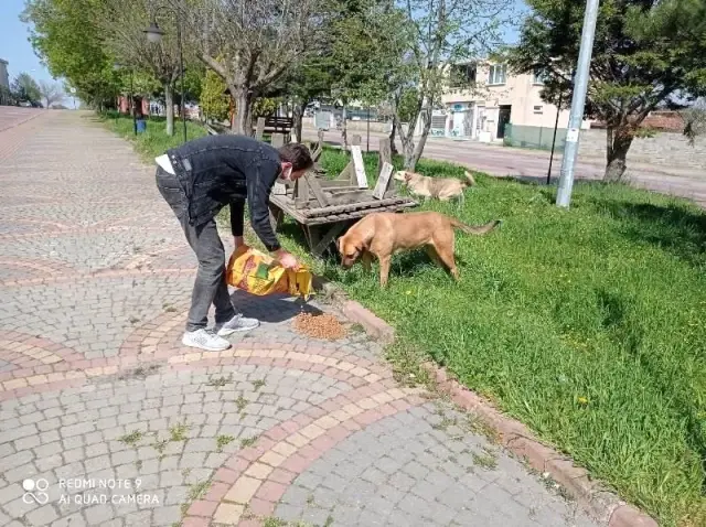 Tam kapanma günlerinde sokak hayvanları da unutulmuyor Tam kapanma günlerinde sokak hayvanları da unutulmuyor