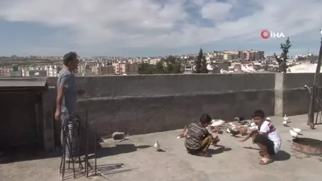 Tam kapanmada zamanını damda kuş uçurarak geçiriyor Tam kapanmada zamanını damda kuş uçurarak geçiriyor