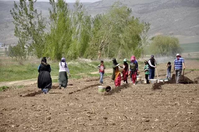 Tarımın bel kemikleri Ramazan ayında işlerinin başında Tarımın bel kemikleri Ramazan ayında işlerinin başında