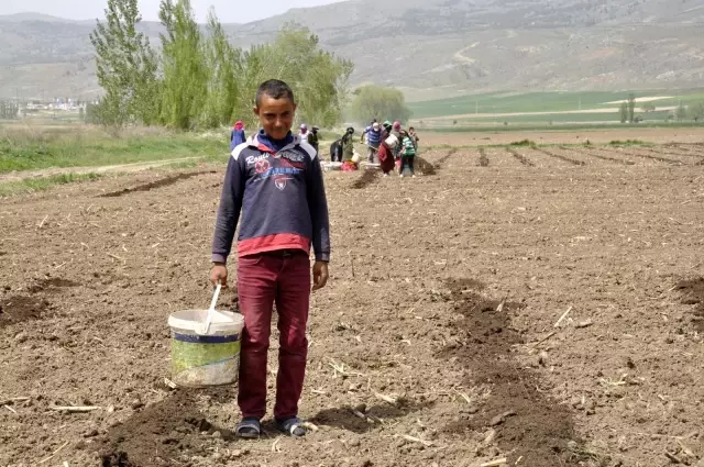 Tarımın bel kemikleri Ramazan ayında işlerinin başında Tarımın bel kemikleri Ramazan ayında işlerinin başında