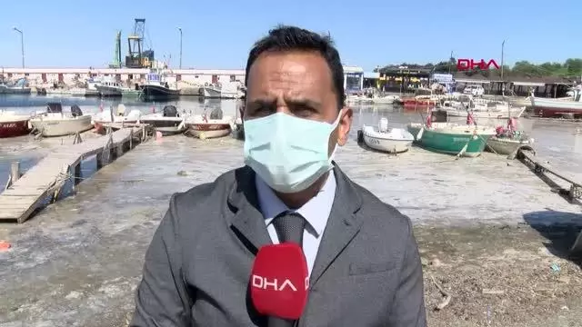 TEKİRDAĞ DENİZ SALYALARI TEKİRDAĞ SAHİLLERİNİ YENİDEN KAPLADI TEKİRDAĞ DENİZ SALYALARI TEKİRDAĞ SAHİLLERİNİ YENİDEN KAPLADI