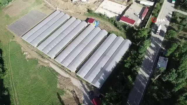 Son dakika haberi: Terörden temizlenen topraklar üretici ile tekrar buluştu Son dakika haberi: Terörden temizlenen topraklar üretici ile tekrar buluştu