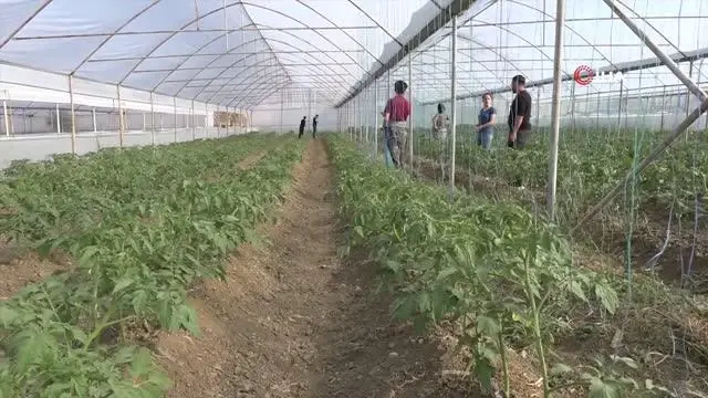 Son dakika haberi: Terörden temizlenen topraklar üretici ile tekrar buluştu Son dakika haberi: Terörden temizlenen topraklar üretici ile tekrar buluştu