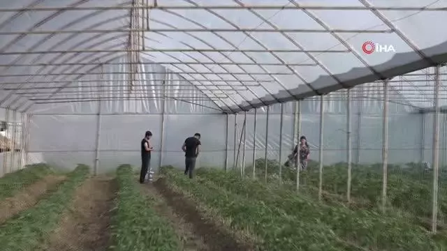 Son dakika haberi: Terörden temizlenen topraklar üretici ile tekrar buluştu Son dakika haberi: Terörden temizlenen topraklar üretici ile tekrar buluştu