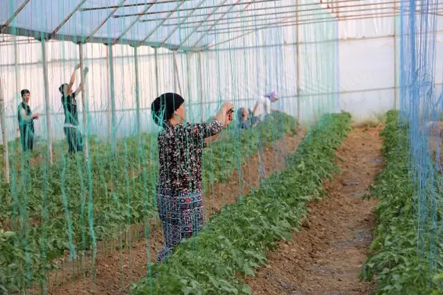 Son dakika haberi: Terörden temizlenen topraklar üretici ile tekrar buluştu Son dakika haberi: Terörden temizlenen topraklar üretici ile tekrar buluştu