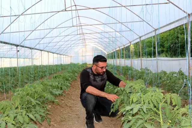 Son dakika haberi: Terörden temizlenen topraklar üretici ile tekrar buluştu Son dakika haberi: Terörden temizlenen topraklar üretici ile tekrar buluştu