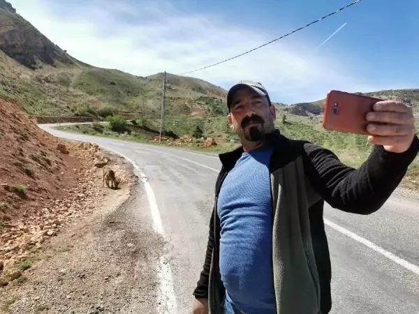 TUNCELİ KARA YOLU, KORUMA ALTINDAKİ DAĞ KEÇİLERİNE KALDI TUNCELİ KARA YOLU, KORUMA ALTINDAKİ DAĞ KEÇİLERİNE KALDI
