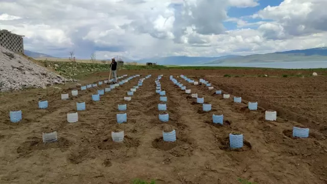 Vanlı çiftçi, 100 adet pet bidonla sera kurdu Vanlı çiftçi, 100 adet pet bidonla sera kurdu