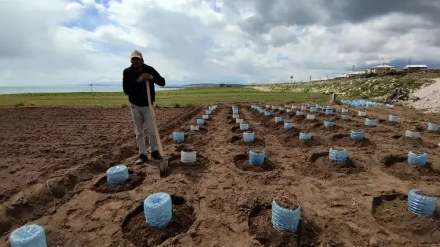 Vanlı çiftçi, 100 adet pet bidonla sera kurdu Vanlı çiftçi, 100 adet pet bidonla sera kurdu