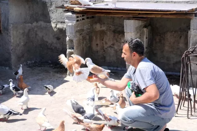 Tam kapanmada zamanını damda kuş uçurarak geçiriyor Tam kapanmada zamanını damda kuş uçurarak geçiriyor