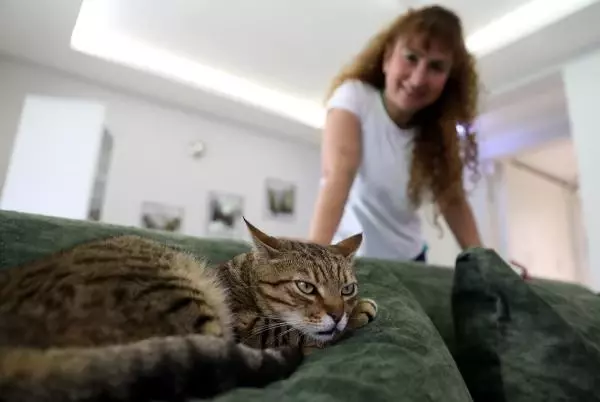 VİLLASINDA 33 KEDİ VE 4 KÖPEĞE BAKIYOR VİLLASINDA 33 KEDİ VE 4 KÖPEĞE BAKIYOR