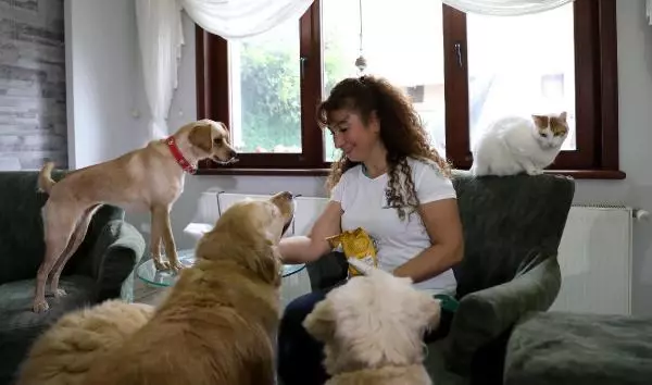 VİLLASINDA 33 KEDİ VE 4 KÖPEĞE BAKIYOR VİLLASINDA 33 KEDİ VE 4 KÖPEĞE BAKIYOR