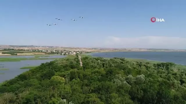 Yaren Leyleğin dostu Adem Amca'ya müjdeli haber: 4 yavrusu dünyaya geldi Yaren Leyleğin dostu Adem Amca'ya müjdeli haber: 4 yavrusu dünyaya geldi