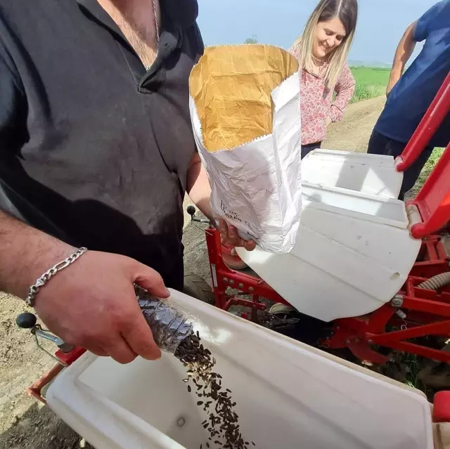 Yerli ve milli mısır ve ayçiçek tohumları toprak ile buluştu Yerli ve milli mısır ve ayçiçek tohumları toprak ile buluştu
