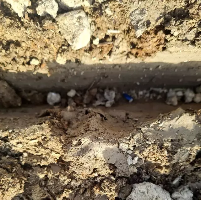 Yerli ve milli mısır ve ayçiçek tohumları toprak ile buluştu Yerli ve milli mısır ve ayçiçek tohumları toprak ile buluştu