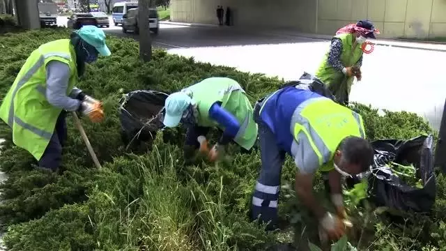 Yeşil Bursa yaza hazırlanıyor Yeşil Bursa yaza hazırlanıyor