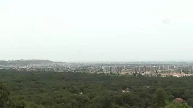 Yoğun nem bunalttı Yoğun nem bunalttı