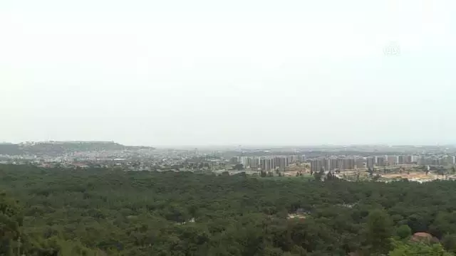 Yoğun nem bunalttı Yoğun nem bunalttı