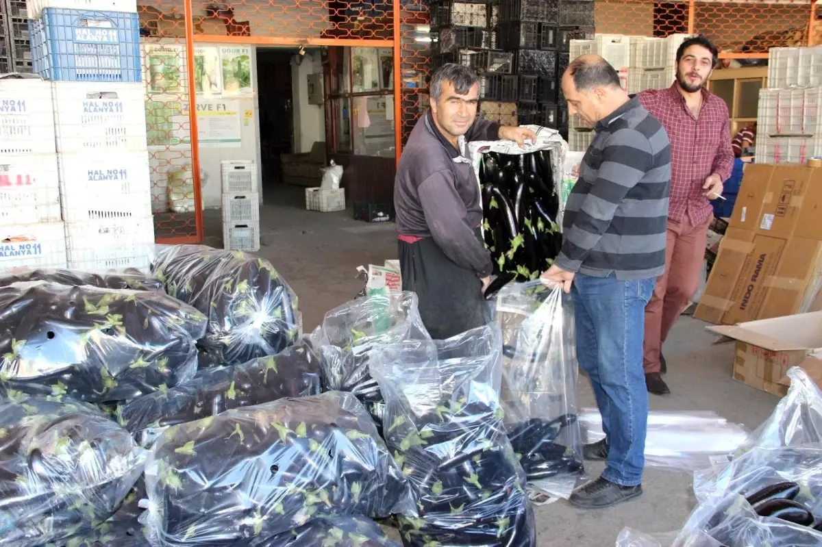 Alanya'da pazar yerleri sevinci