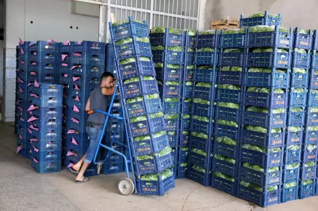 Antalya halinde semt pazarı hareketliliği başladı Antalya halinde semt pazarı hareketliliği başladı