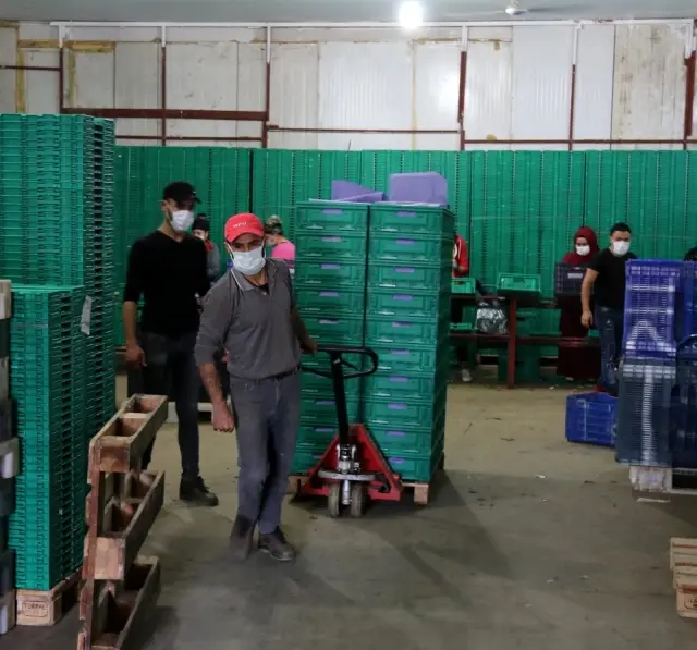 Antalya halinde semt pazarı hareketliliği başladı Antalya halinde semt pazarı hareketliliği başladı