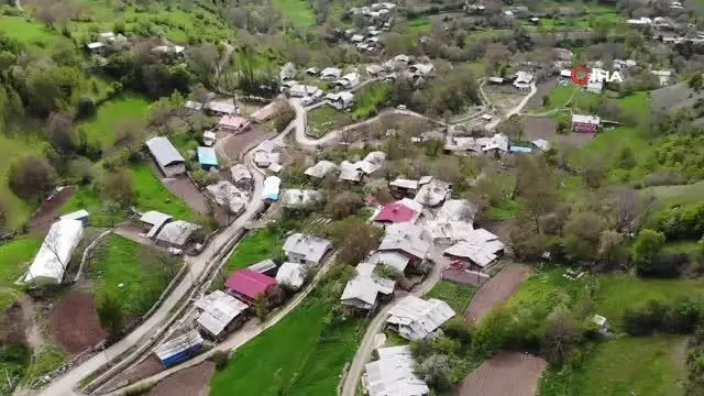Artvin'de kene kabusu geri döndü Artvin'de kene kabusu geri döndü