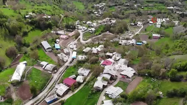 Artvin'de kene kabusu geri döndü Artvin'de kene kabusu geri döndü