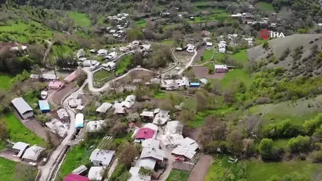 Artvin'de kene kabusu geri döndü Artvin'de kene kabusu geri döndü
