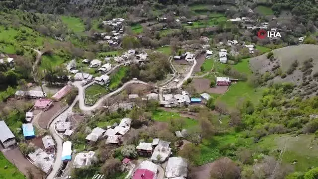 Artvin'de kene kabusu geri döndü Artvin'de kene kabusu geri döndü