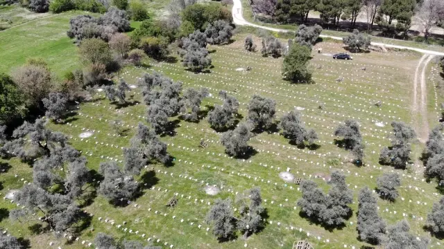 Aydınlı kadınların ürettikleri anaarılar Türkiye'ye dağılıyor Aydınlı kadınların ürettikleri anaarılar Türkiye'ye dağılıyor