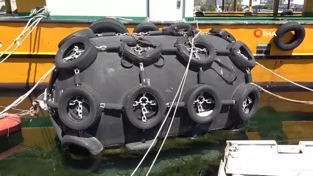 Balık sürüsü sandılar, görünce şok oldular Balık sürüsü sandılar, görünce şok oldular