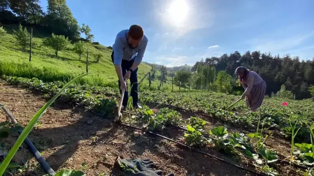 Balıkesir'de çapasını küreğini alan çiftçi tarlasına koştu Balıkesir'de çapasını küreğini alan çiftçi tarlasına koştu