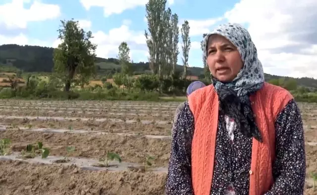 Balıkesir'de çapasını küreğini alan çiftçi tarlasına koştu Balıkesir'de çapasını küreğini alan çiftçi tarlasına koştu