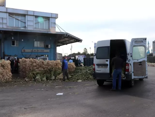 (İSTANBUL - Özel) Bayrampaşa sebze ve meyve halinde esnaf dertli (İSTANBUL - Özel) Bayrampaşa sebze ve meyve halinde esnaf dertli