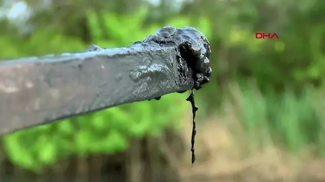 BEYKOZ'DAKİ RİVA DERESİ TEKRAR KARARDI; 'KANALİZASYON GİBİ AKIYOR' BEYKOZ'DAKİ RİVA DERESİ TEKRAR KARARDI; 'KANALİZASYON GİBİ AKIYOR'