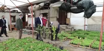 Baki Demirbaş: Çubuk Belediye Başkanı Demirbaş, sebze fidesi ve çiçek üreticilerini ziyaret etti Baki Demirbaş: Çubuk Belediye Başkanı Demirbaş, sebze fidesi ve çiçek üreticilerini ziyaret etti