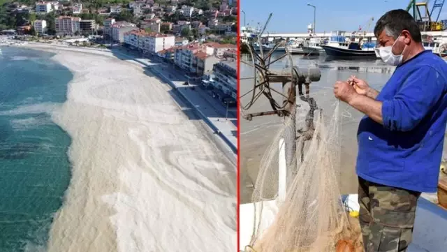 Deniz salyası kabusu bu kez Tekirdağ sahillerinde görüldü! Avlanmaya çıkan balıkçıların ağları yırtıldı Deniz salyası kabusu bu kez Tekirdağ sahillerinde görüldü! Avlanmaya çıkan balıkçıların ağları yırtıldı