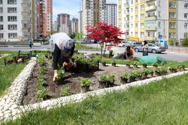 Talas dikilen çiçeklerle rengarenk görünüme kavuştu