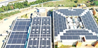 Escon Enerji Novartis'in iki fabrikasına güneş enerji sistemi kurdu