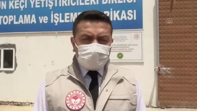 GAZİANTEP - Tam kapanmadan etkilenen üreticinin sütleri değerlendiriliyor GAZİANTEP - Tam kapanmadan etkilenen üreticinin sütleri değerlendiriliyor