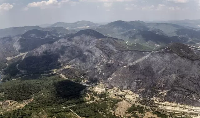 İzmir ve Manisa'da küle dönen ormanlık alanlar artık yemyeşil İzmir ve Manisa'da küle dönen ormanlık alanlar artık yemyeşil