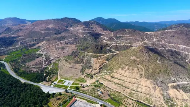 İzmir ve Manisa'da küle dönen ormanlık alanlar artık yemyeşil İzmir ve Manisa'da küle dönen ormanlık alanlar artık yemyeşil
