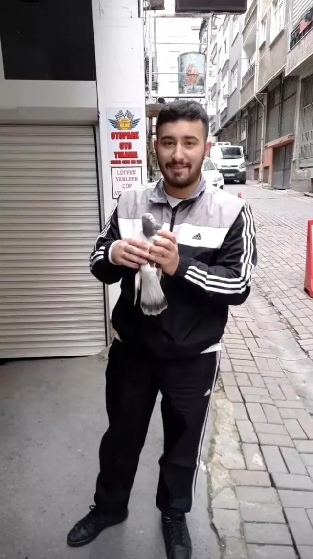 Kağıthane'de pompalıyla başından vurulan genç hayatını kaybetti Kağıthane'de pompalıyla başından vurulan genç hayatını kaybetti