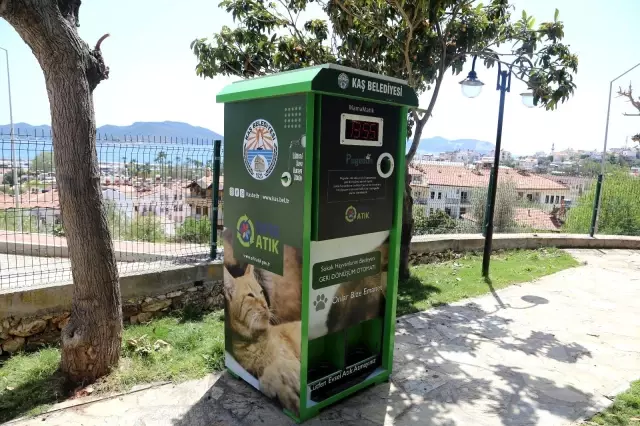 Kaş'ta sokak hayvanları için mamamatik hizmeti Kaş'ta sokak hayvanları için mamamatik hizmeti
