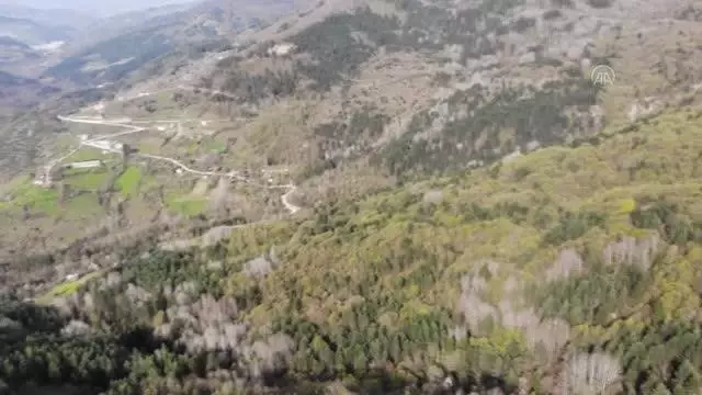 KASTAMONU - 'Saklı cennet' Şenpazar doğa içinde izolasyon imkanı sunuyor KASTAMONU - 'Saklı cennet' Şenpazar doğa içinde izolasyon imkanı sunuyor