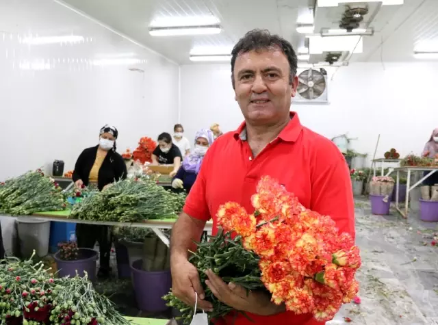 Kesme çiçek sektörü pandemi krizini fırsata çevirdi Kesme çiçek sektörü pandemi krizini fırsata çevirdi
