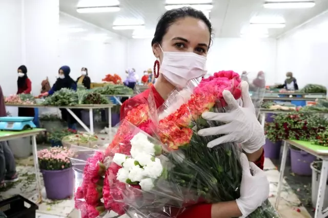 Kesme çiçek sektörü pandemi krizini fırsata çevirdi Kesme çiçek sektörü pandemi krizini fırsata çevirdi