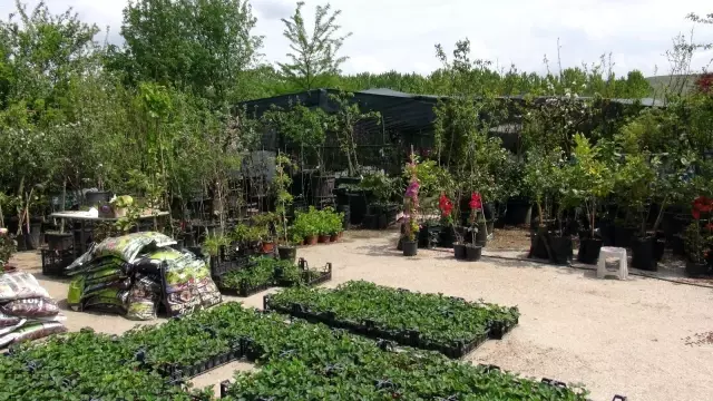 kisitlama gunleri en cok onlara yaradi 5 14111628 o