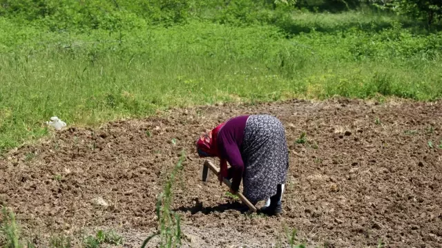 kisitlama gunleri en cok onlara yaradi 8 14111628 o