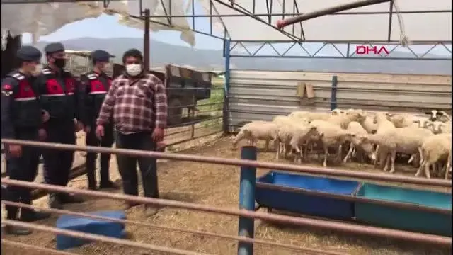 Son dakika haberi... KOYUN HIRSIZLARI 147 SAAT GÜVENLİK KAMERASI İZLENEREK YAKALANDI Son dakika haberi... KOYUN HIRSIZLARI 147 SAAT GÜVENLİK KAMERASI İZLENEREK YAKALANDI